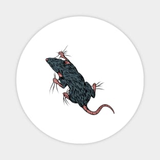 Rat lover - climbing rat Magnet